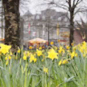 Meet your Posher, Reagan